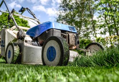 Weed control Sydney lawn weed management